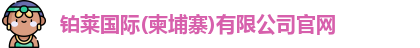 铂莱国际